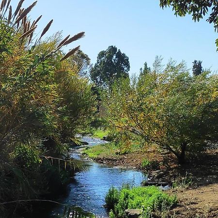 Villa By The River Facing The Hermon In Dafna Exterior photo