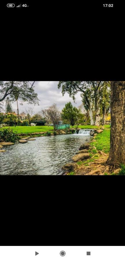 Villa By The River Facing The Hermon In Dafna Exterior photo